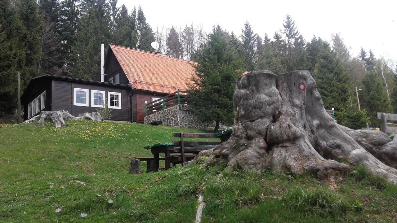 Bolfenk Apartment Hočko Pohorje Esterno foto